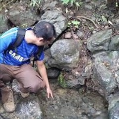 Naveed Abdullah