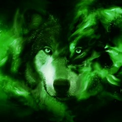 Asylum Wolf