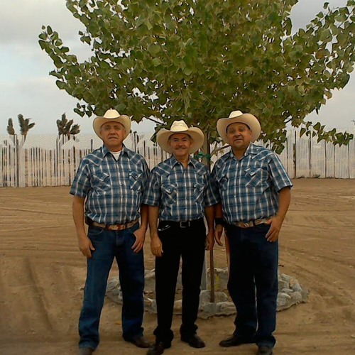 Los Arrieros Del Rancho’s avatar