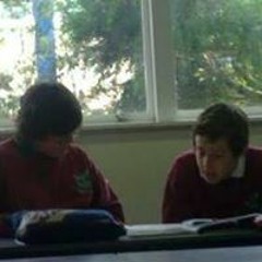 Timothy Scott-Sandvik