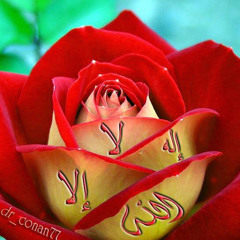 Hazem Elbdewy
