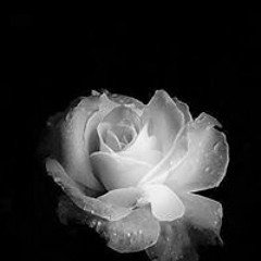 Andi Nurzam Azzachrah