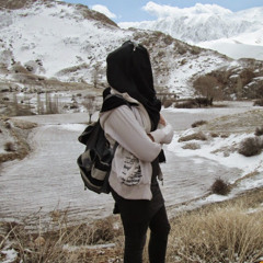 Somayeh Seyedin