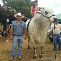 Gredy Umana Barrientos