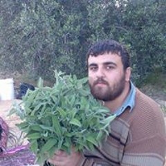 فضل عبدالعزيز جنيد
