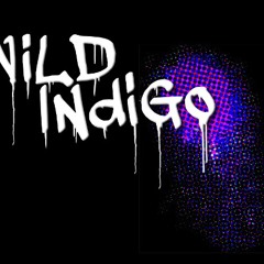 Wild Indigo