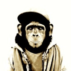 Chimp@nze