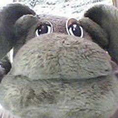 dAvidz