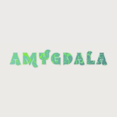 OFFICIAL_AMYGDALA