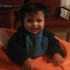 Gonzalo S Abarca Carriel