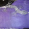 Jona Creation