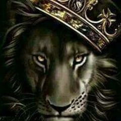 Mick Knoitall Brison