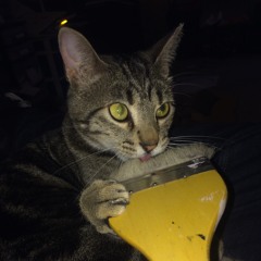 Euphonic Inquisition