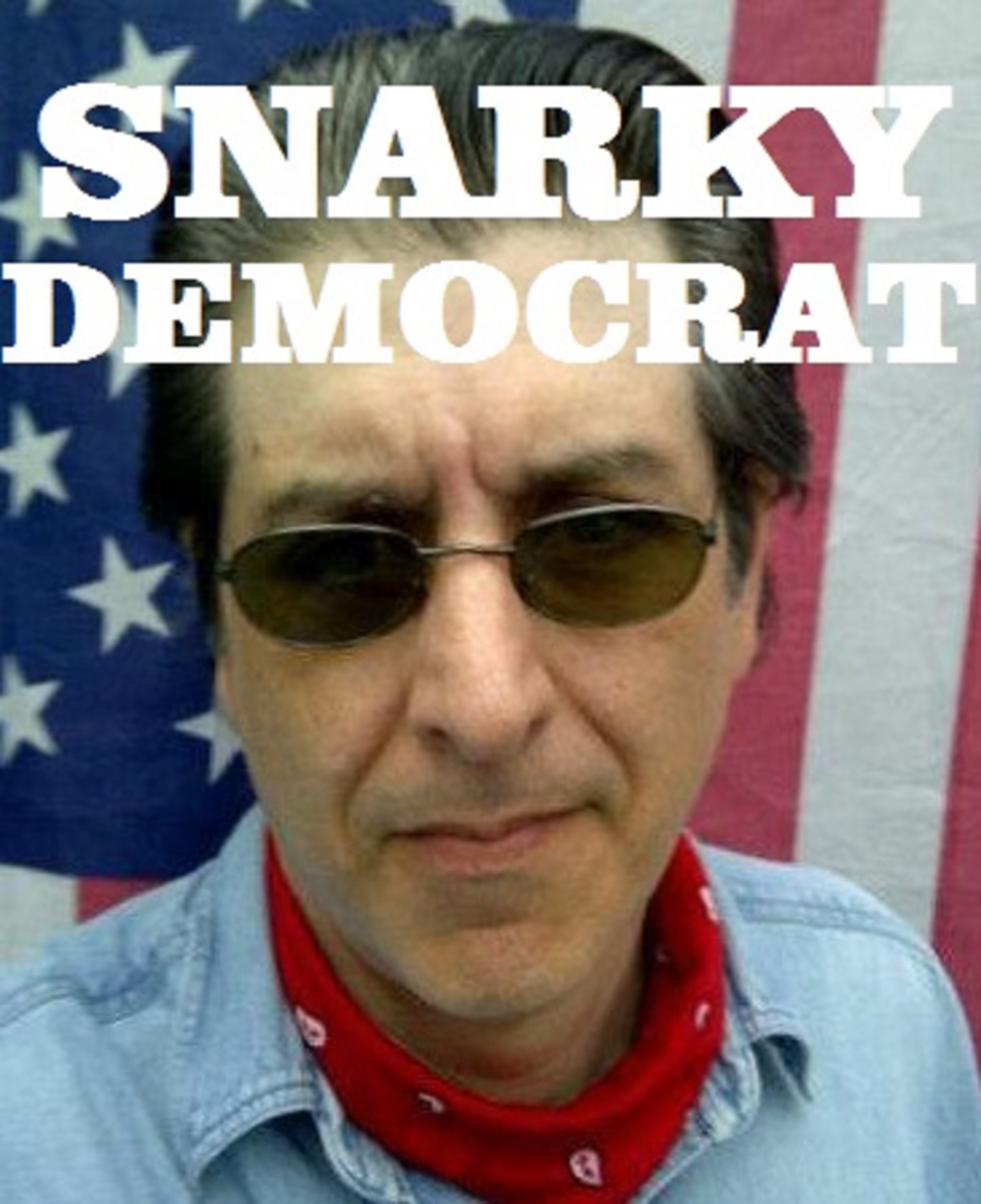Snarky Democrat podcast artwork