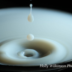 Holly Wilkinson 12