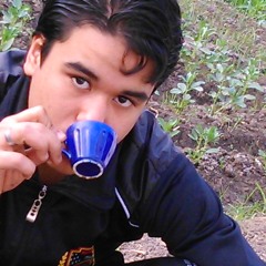 Mahmoud Gamal
