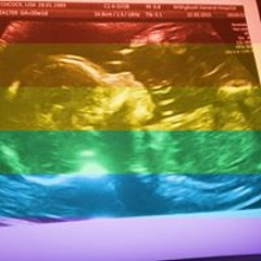 Lisa-marie Hitchcock