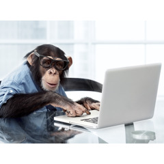 Screenmonkey