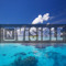 Nvisible