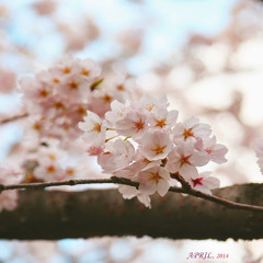 junedays