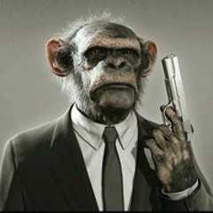 André Looping Adamini