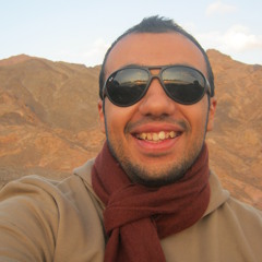 Basel C Mostafa