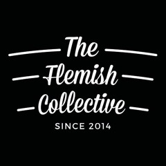 TheFlemishCollective