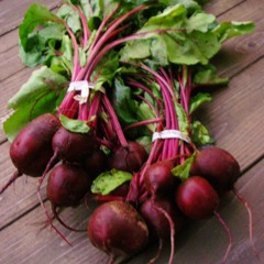 The Fresh Beets