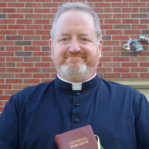 Homily for Aug 28/15