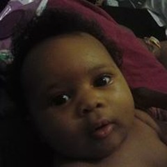 Tripcino Bull Rollins