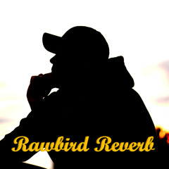 Rawbird Reverb