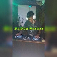 Dj Don Needle