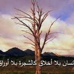 Marwa Elsherbiny