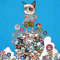 mybadkitty