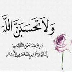 Mo'men hamza