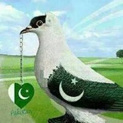 Syeda Ismat Zehra Naqvi