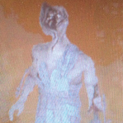 Brute Brennenburg