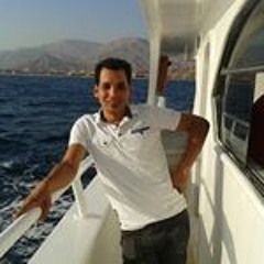 ابراهيم القرضاوي