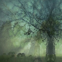 Mary Briley