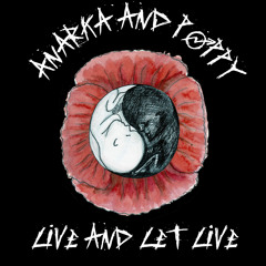 A&P Experimental Channel