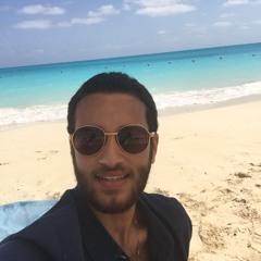 Mahmoud El Tahhan