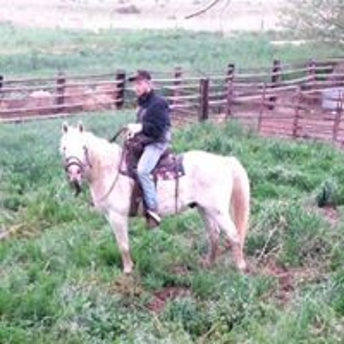 Stream Bo Dutton music | Listen to songs, albums, playlists for free on ...