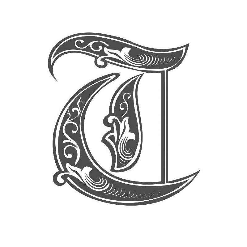 Tipotalk - Vinicius Guimarães