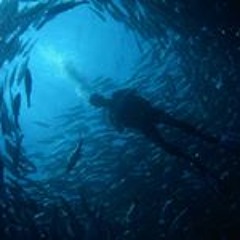 Frederik Ødum Nielsen