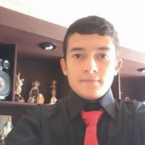 Luis David Medina Osorio’s avatar