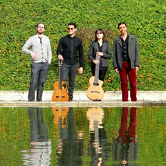 Atemporanea guitarras