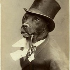 Matthew Laurence Coman