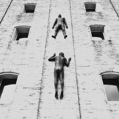 Prunus serrulata (Demo)