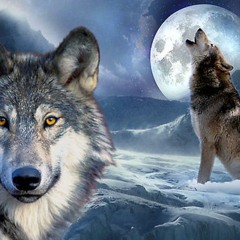 MadisonRunswithwolves ^~^