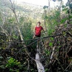 דורון בירנבאום